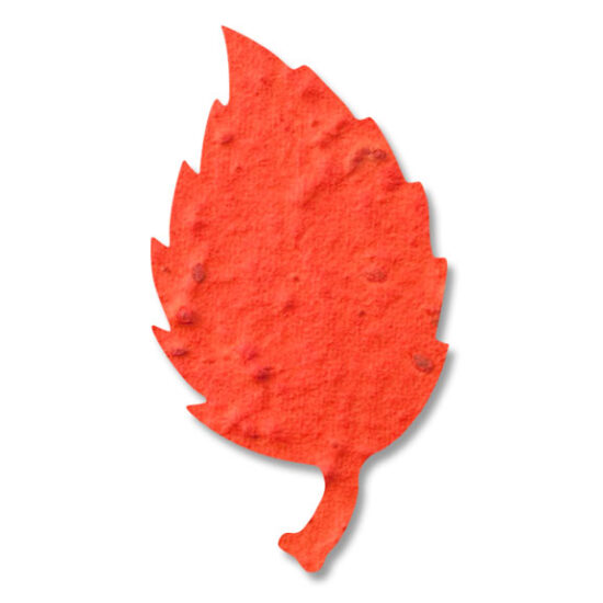 seed paper aspen leaf