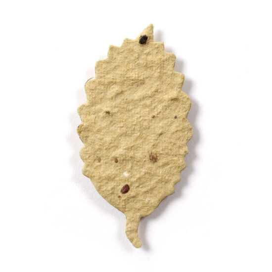 seed paper birch leaf