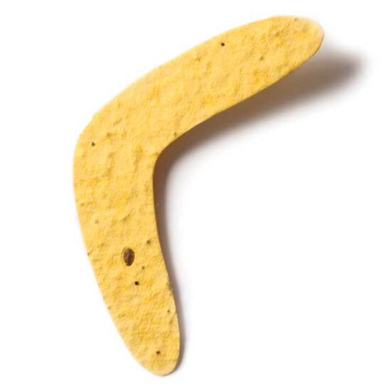 seed paper boomerang