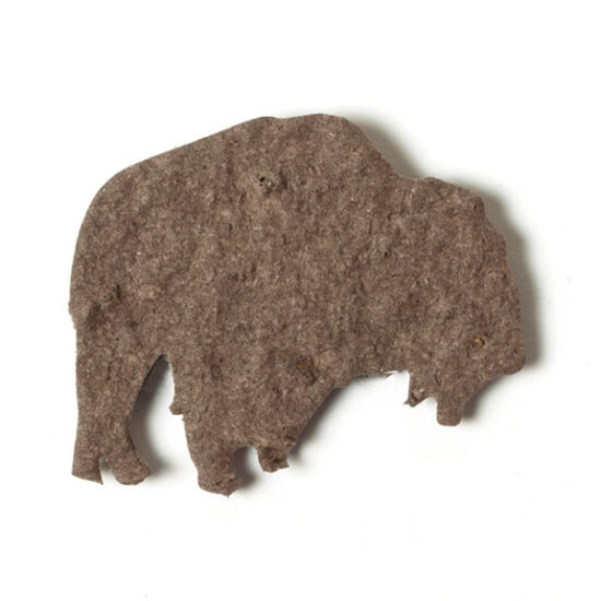 seed paper buffalo