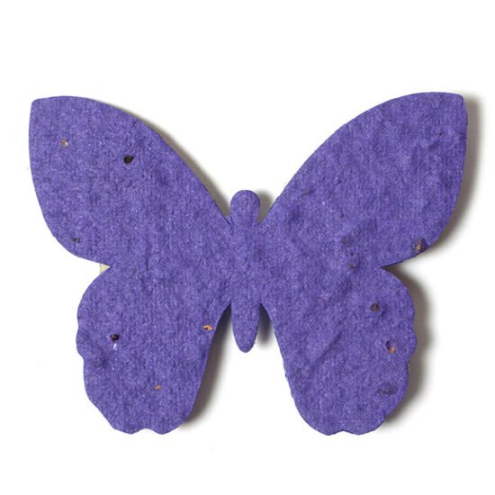 seed paper butterfly 7