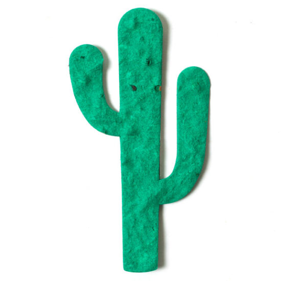 seed paper cactus