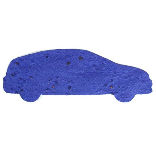 seed paper car 2