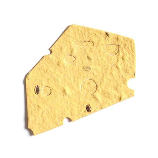 seed paper cheese