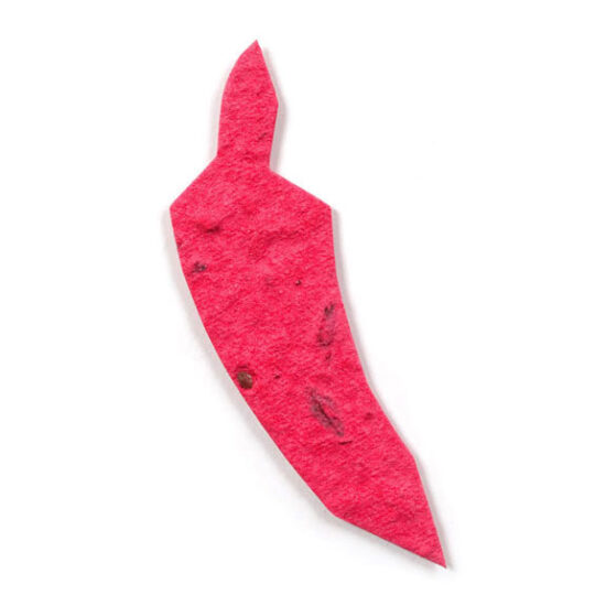 seed paper chili pepper