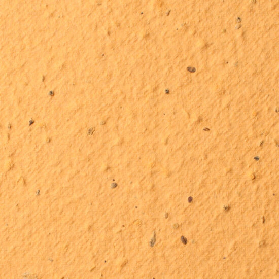 desert-orange-sheet-seed-paper