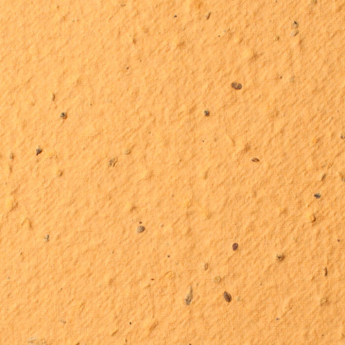 desert-orange-sheet-seed-paper