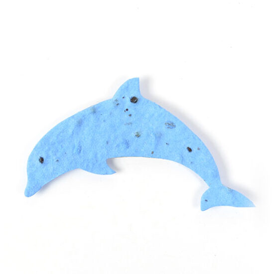 seed paper dolphin