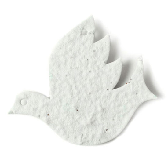 seed paper dove 1