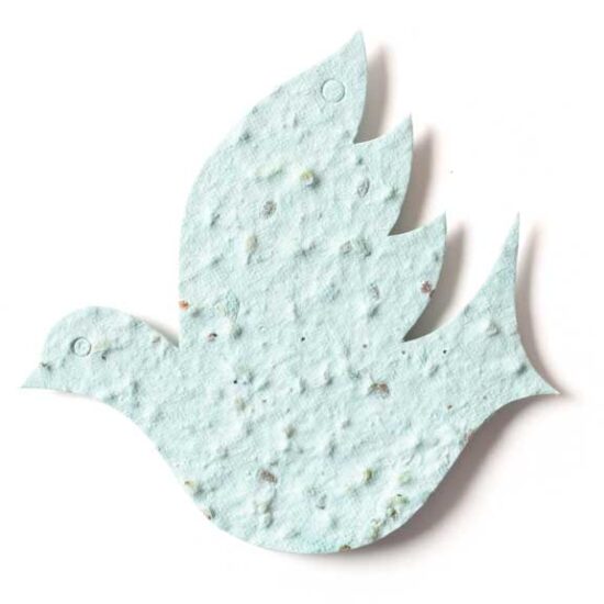 seed paper dove