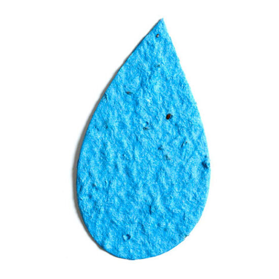 seed paper droplet