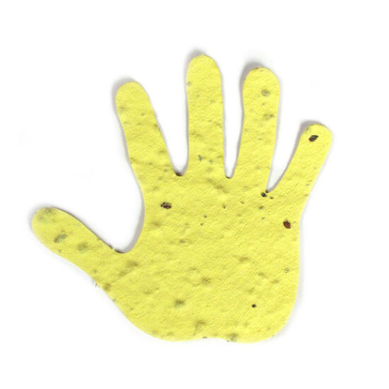 seed paper hand 2