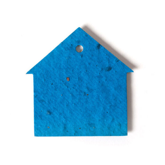 seed paper house 2