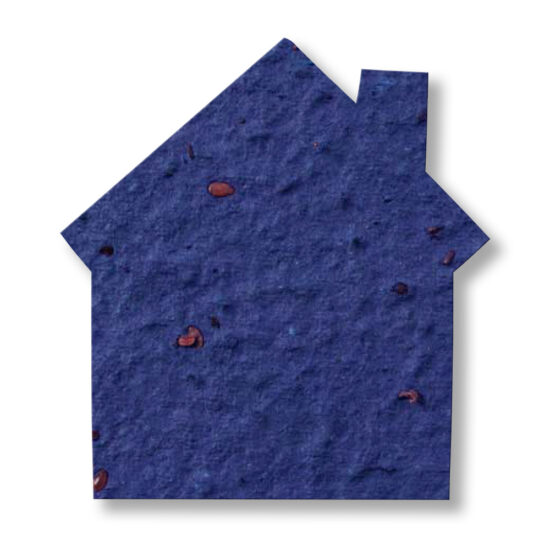 seed paper house 5