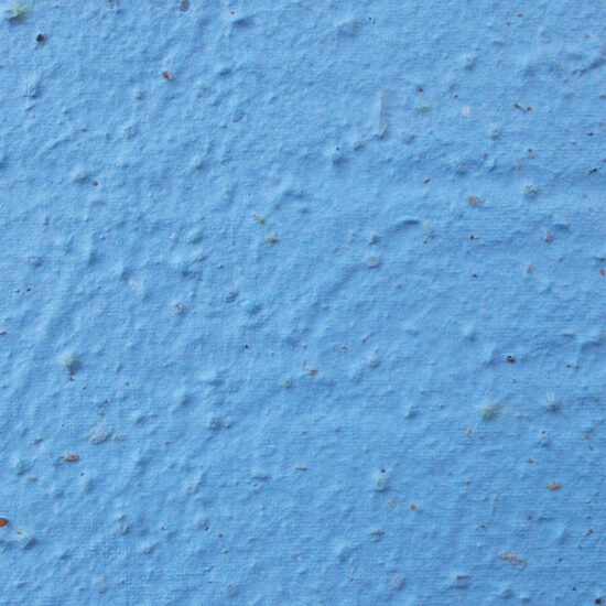 light-blue-sheet-seed-paper