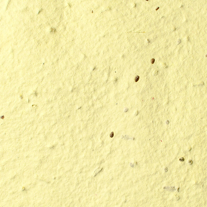 light-yellow-sheet-seed-paper