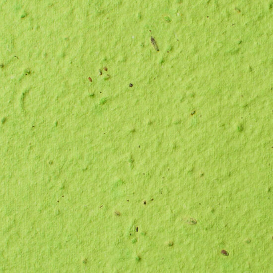 lime-sheet-seed-paper