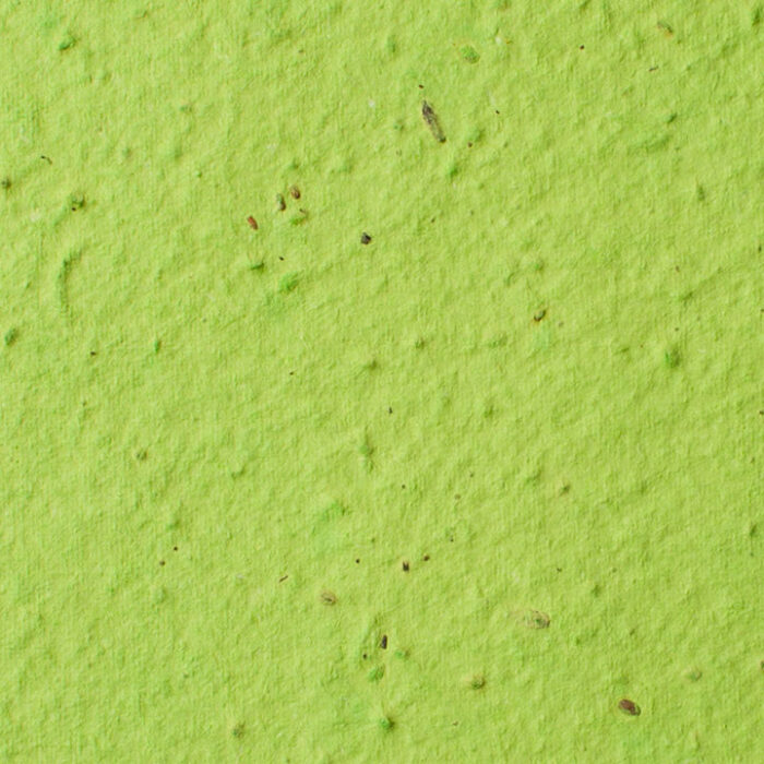 lime-sheet-seed-paper