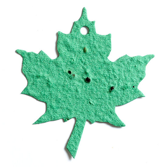 seed paper maple leaf 3