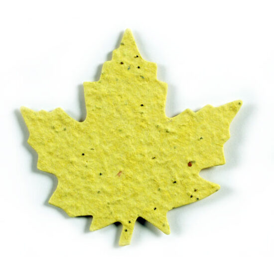 seed paper maple leaf 2