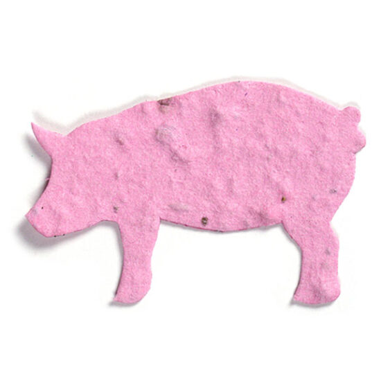 seed paper pig