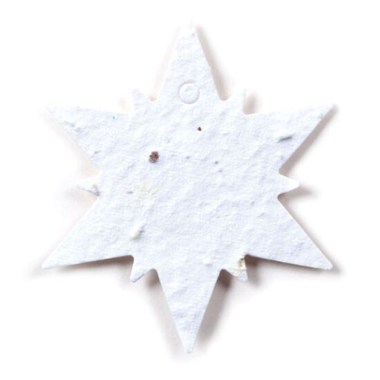 seed paper snowflake 1