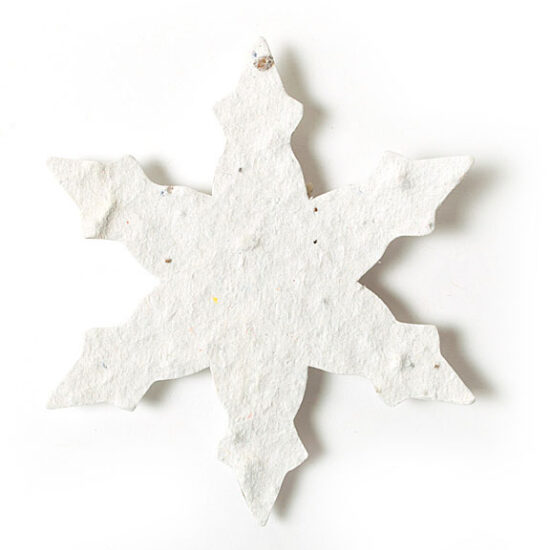 seed paper snowflake 3