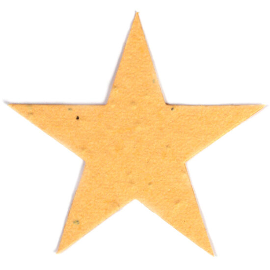 seed paper star