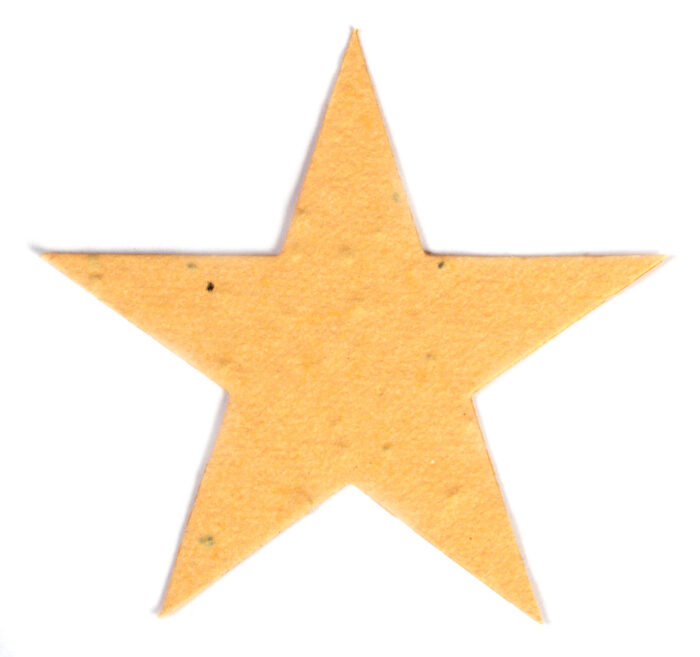 seed paper star