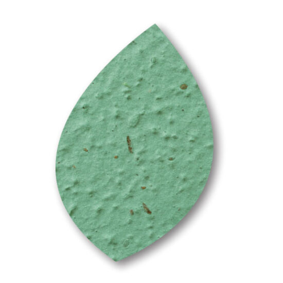 seed paper thyme leaf