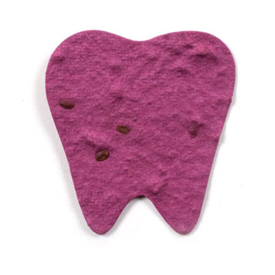 seed paper tooth 2