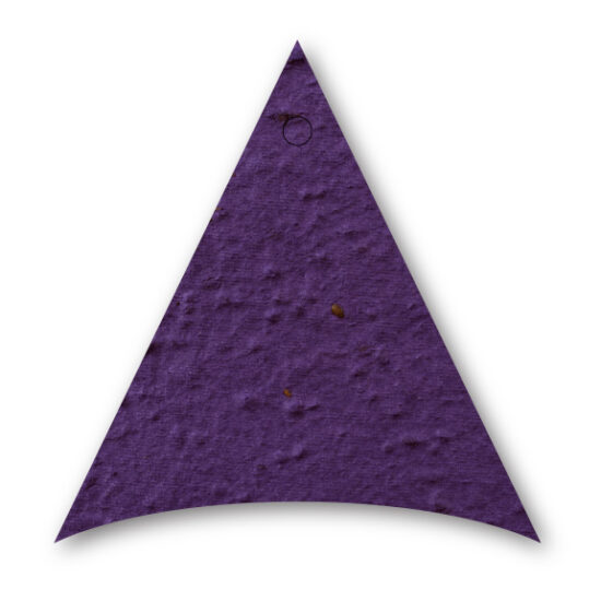 Seed Paper Triangle 2