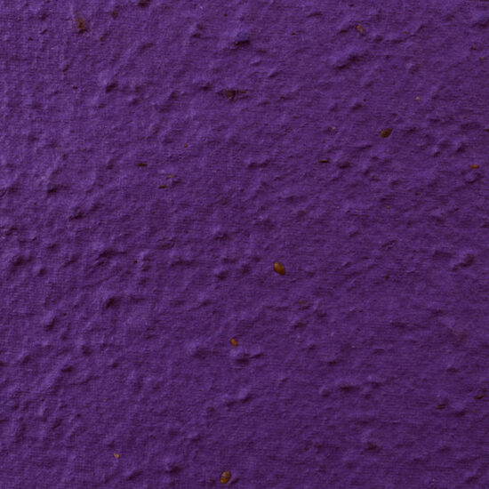 violet sheet paper