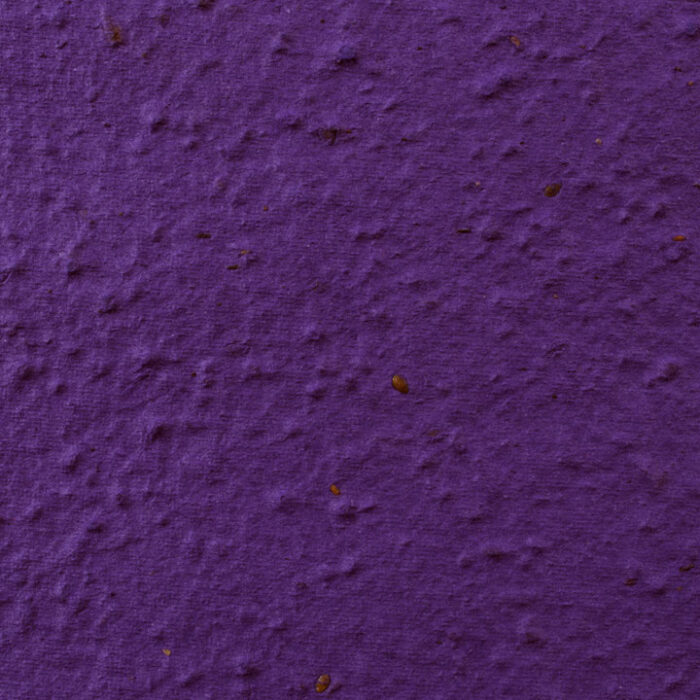 violet sheet paper