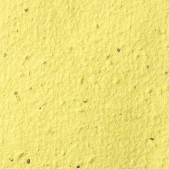 yellow sheet paper