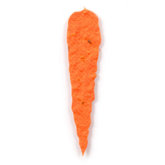 seed paper carrot