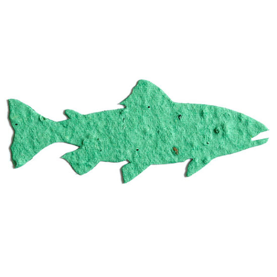 seed paper fish