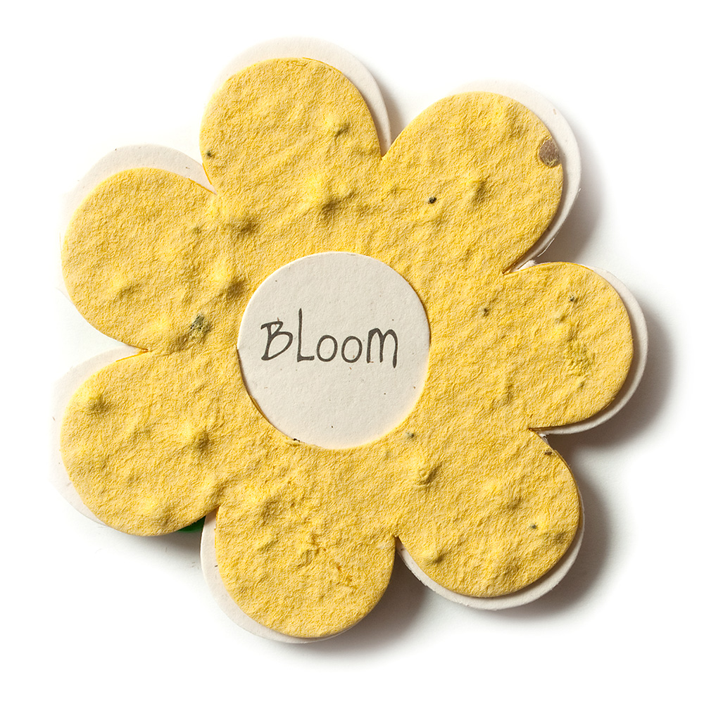 flower shaped seed paper enclosure card